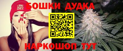 бошки Бийск