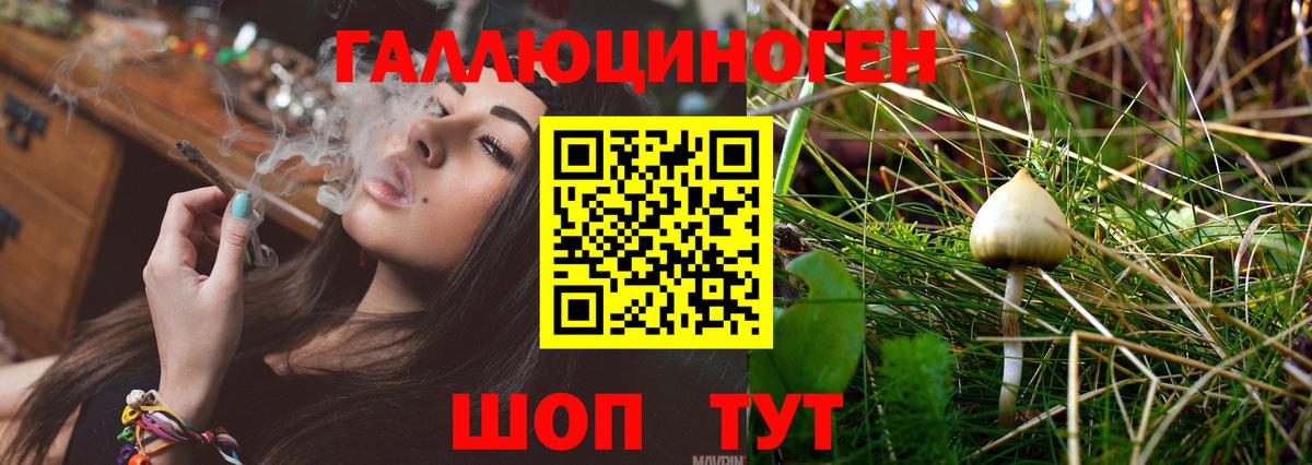 Галлюциногенные грибы MAGIC MUSHROOMS  Галлюциногенные грибы MAGIC MUSHROOMS  Дальнереченск  Вход с VPN 
